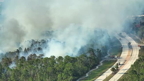 Emergency Service Firetrucks Extinguishing Wildfire Burning in Florida Jungle Woods Fire Department