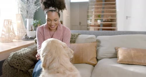 Woman Pets Dog on Couch in Sunny Home