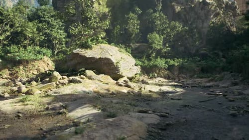 Magnificent Golden Glow Highlights Expansive Rocky Terrain and Forest Shadows