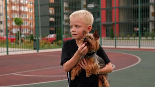 A Boy Holds a Yorkshire Terrier Dog Standing on a Sports Court in the Courtyard
