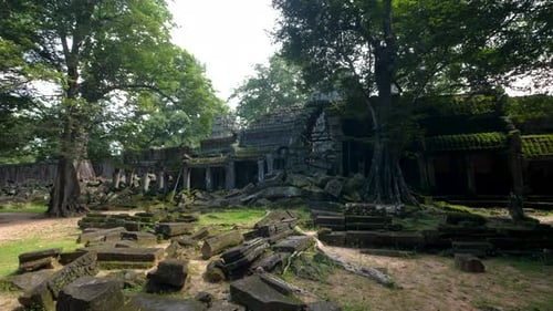 Lieu de tournage du film Tomb Raider : Angkor Wat, temple de Ta Prohm, Cambodge, Asie du Sud-Est