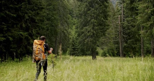 A Man Walking in the Forest