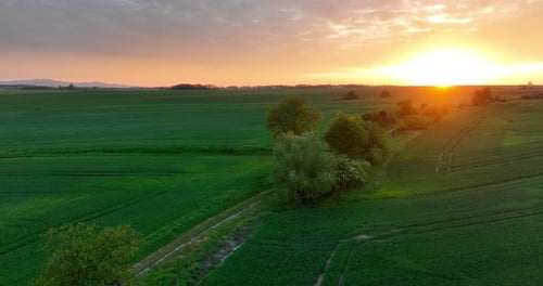 Breathtaking View of the Setting Sun