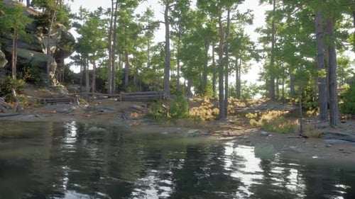 Tranquil Forest Lake Reflecting Sunlight Under a Clear Blue Sky at Dawn