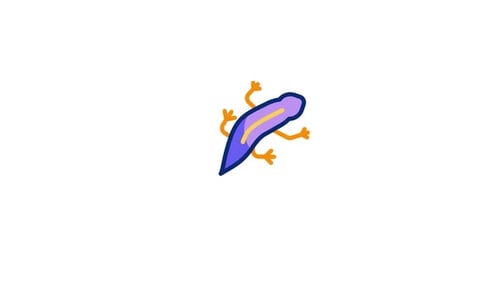 Neurergus Animated Icon