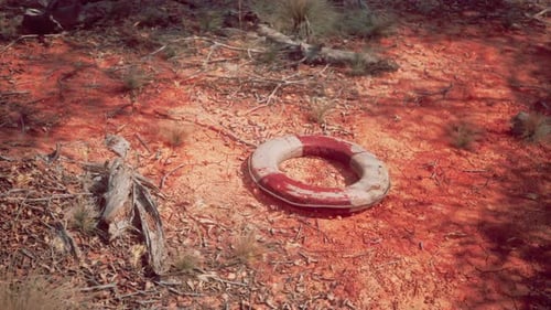 Ring Buoy en Desert Beach