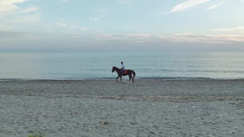 Vista aérea: caballos y jinetes al galope a la orilla del mar al atardecer