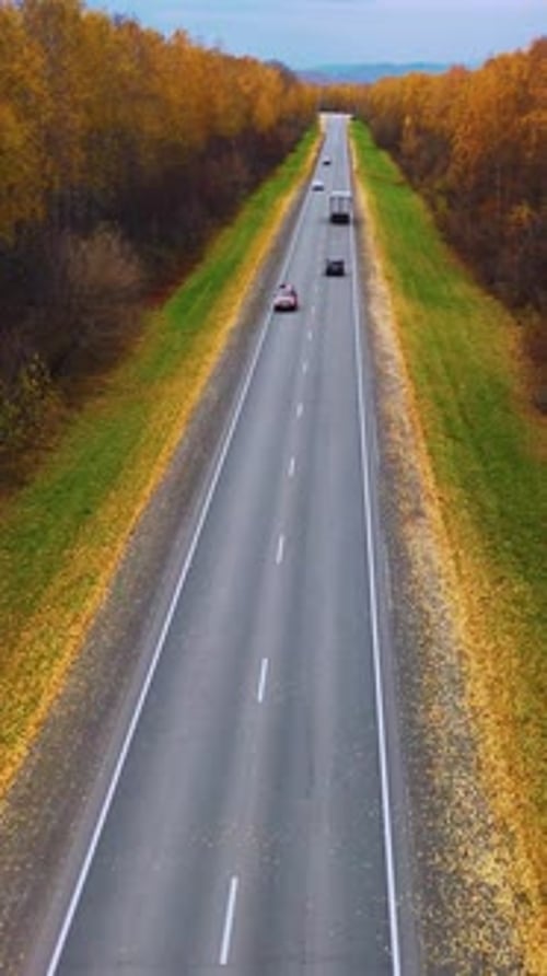 Autumn Drive Along a Scenic Highway with Colorful Trees and Fallen Leaves