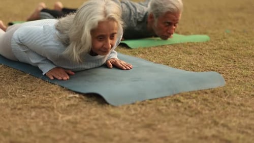 Healthy Couple Practicing Yoga Outdoors in Sunlit Park