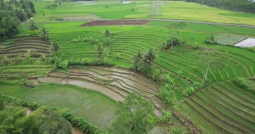 Aerial view rural landscape of tropical country with green terraced rice field