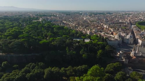 Forwards Fly Above Park with Grown Green Trees
