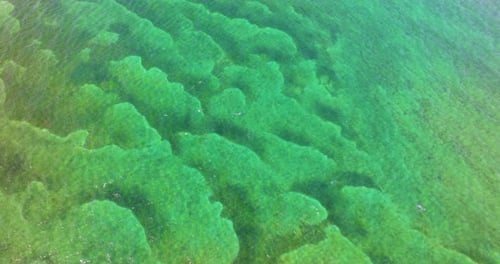Aerial View of Underwater Coral Reef Visible Through Ocean Surface Near Miami Florida
