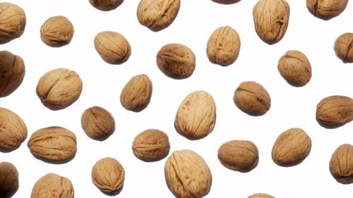 Falling Walnuts Seamless Loop on White Background