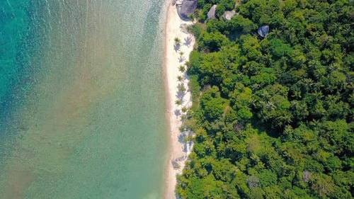 Tropical sand beach with palm trees in sunset, sunrise, aerial dolly shot flying through the trunks,