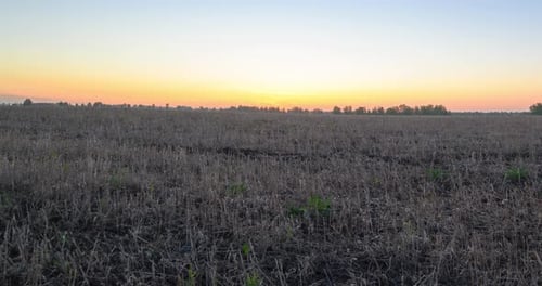Flat Hill Meadow Timelapse at the Summer Sunrise Time Wild Nature and Rural Grass Field Sun Rays and