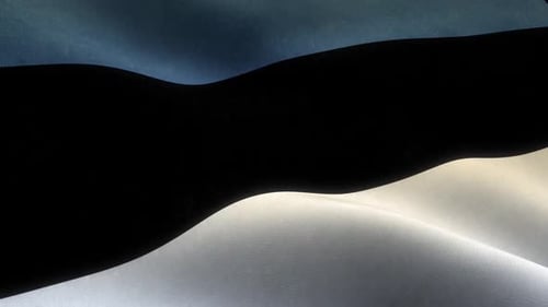 Estonia National Flag Waving Loop with Realistic Fabric