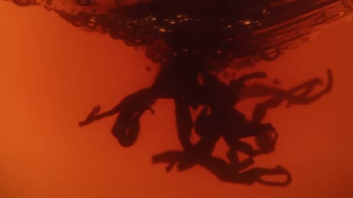 Tea Leaves Swirl in Reddish Brown Liquid