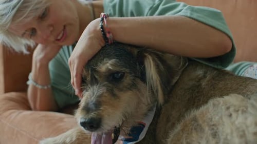 Woman Resting on Sofa, Gently Petting Her Dog at Home