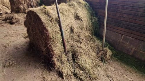 Close-up view about a hay bale in stable with agricultural tools, France.