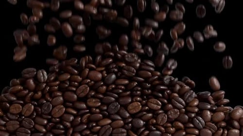 Fresh Roasted Coffee Beans Falling and Accumulating