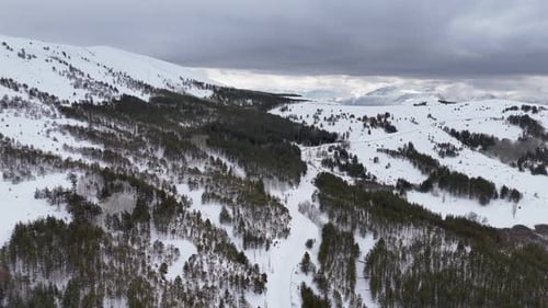 El Niño Winter