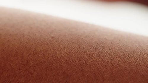 Close-up of Skin on a Person's Arm