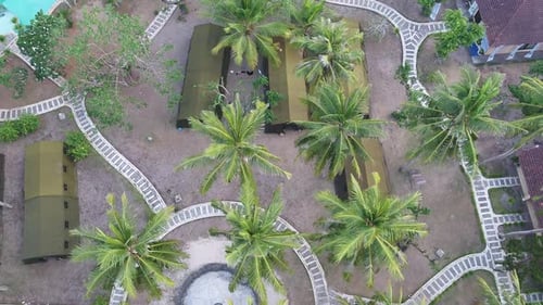 Tropical Resort with Palm Trees Aerial View