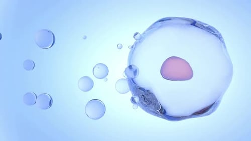 Fluid Biological Cell Nucleus Animation with Fusing Bubbles