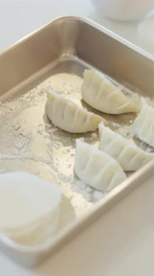 Asian, dumplings and food for traditional dinner, kitchen and meal prep in restaurant or cafe