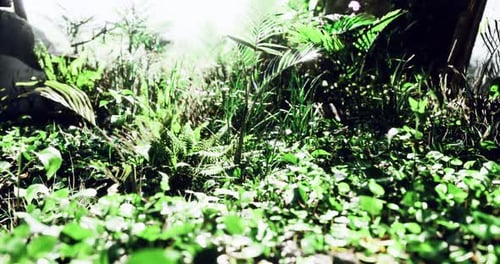Lush Green Vegetation Thriving Under Bright Sunlight in a Serene Environment