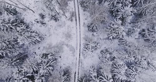 Aerial view of country road and snowy forest in winter.