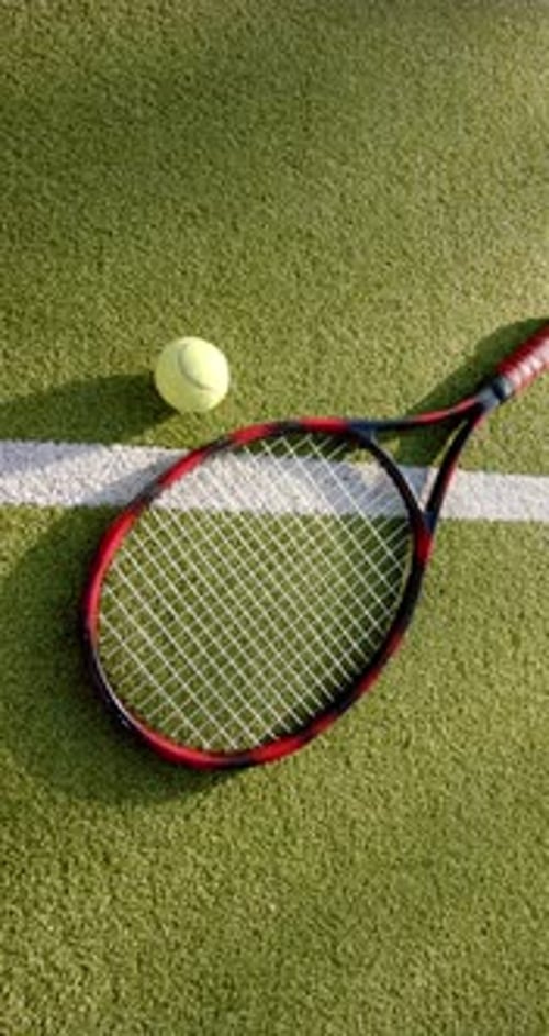 Vertical video: Tennis racket and ball on grass court, ready for game