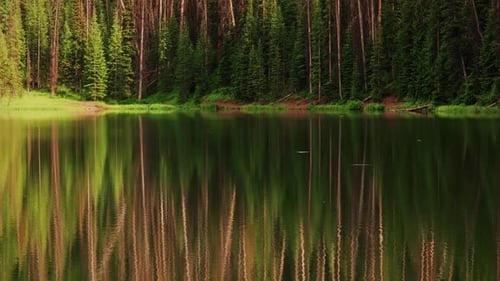 Serene Mountain Lake Surrounded By A Forest Of Pine Trees. - wide shot