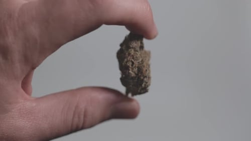 Hand Holding and Rotating a Tan Lumpy Object