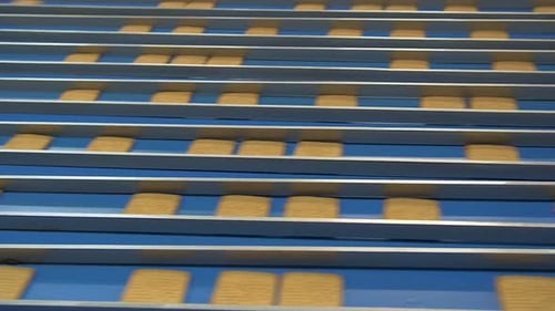 lots of square cookies slide along divided lines on a conveyor belt