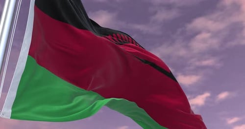 Malawi Flag Animation Minimal Corporate Video