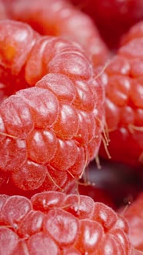 Vertical video. The background of large raspberries rotates slowly, macro.