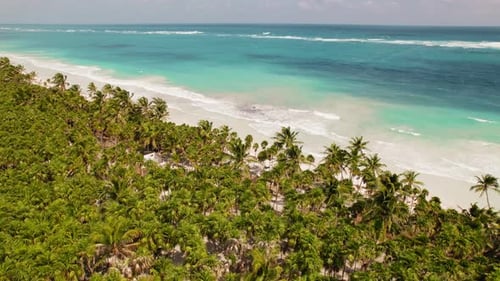Vista aérea da exuberante floresta de palmeiras encontrando as águas azul-turquesa da praia em Tulum, México