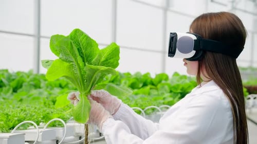 Female Scientist Uses VR to Study Lettuce