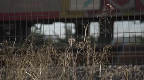Train on the Rails, 4K UHD Slowmo; train moving through green grassed countryside , moving railroad