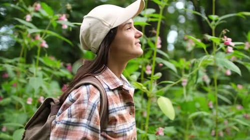 Hiking Woman Walk in Forest Rear Back View of Girl Hiker Walking with Backpack Through Forest Nature