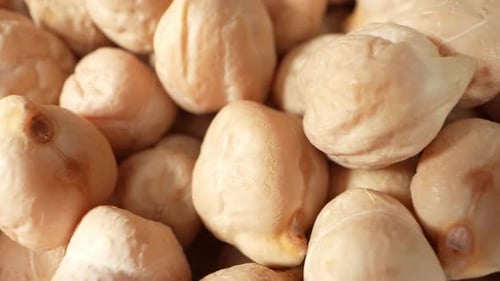 Chickpea seeds are a nutrient powerhouse, Packed with protein