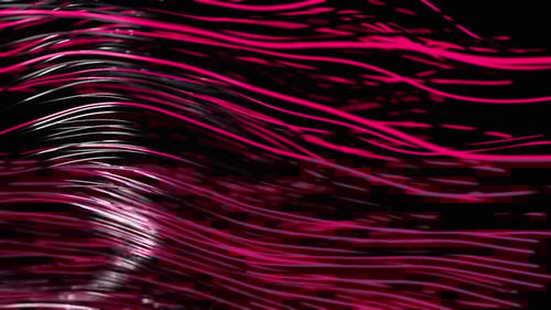 Neon Pink Wavy Lines Abstract Background Loop