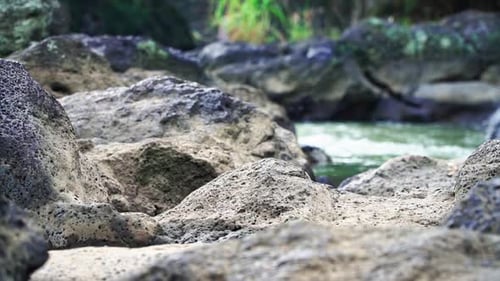 Slow Motion - Rocky river with water stream on the background