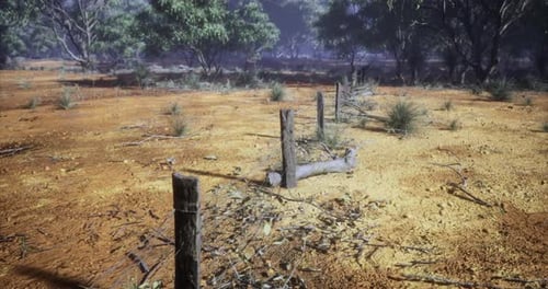 Tracking Shot of Rustic Wooden Fence Posts in a Dry Landscape