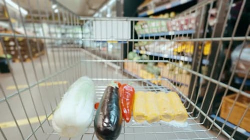 Filling the Trolley with Groceries in the Supermarket Timelapse
