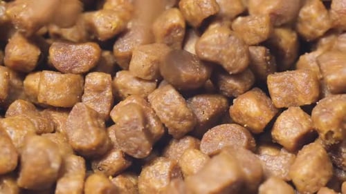 Dry Pet Food Close Up
