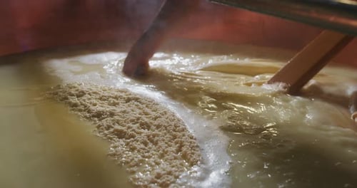 Slow motion close up of a cheesemakers are preparing a form of Parmesan cheese using fresh and bio