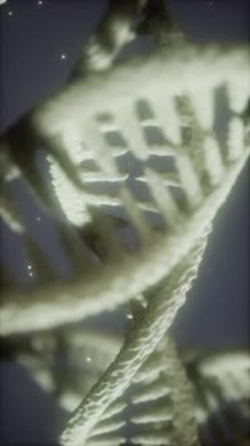 Double Helical Structure of Dna Strand Closeup Animation