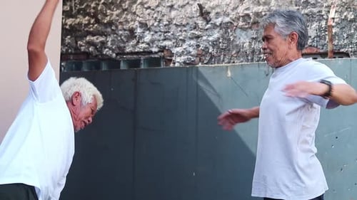 Active senior asian men exercising together outdoors